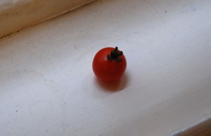 Tomato