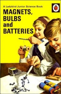 Magnets, Bulbs and Batteries-Ladybird Junior Science